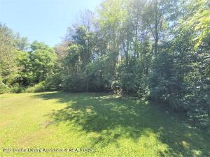 667 Lansing Rd, Morrice, MI 48857 photo 14
