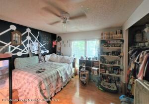 667 Lansing Rd, Morrice, MI 48857 photo 26
