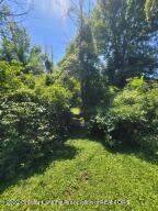 667 Lansing Rd, Morrice, MI 48857 photo 13