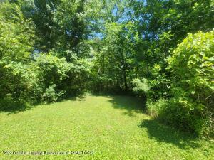 667 Lansing Rd, Morrice, MI 48857 photo 12