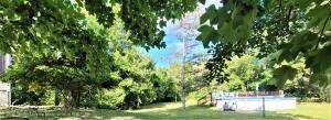 667 Lansing Rd, Morrice, MI 48857 photo 7
