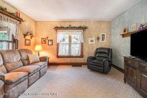 335 Elm St, Mason, MI 48854 photo 9