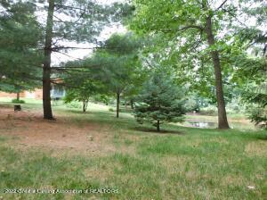 13331 Nelson St, Bath, MI 48808 photo 19