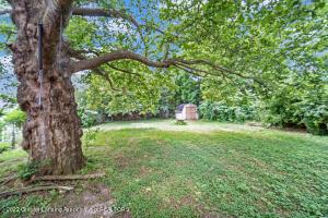 214 E Jackson St, Lansing, MI 48906 photo 14