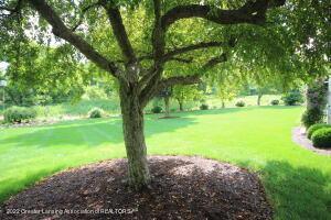 1375 E Twinbrook Dr, Dewitt, MI 48820 photo 38