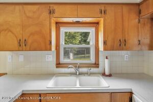 13531 Turner Rd, Dewitt, MI 48820 photo 12