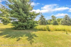 11263 Risner Ln, Eaton Rapids, MI 48827 photo 42