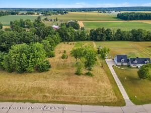 6830 Winston Ave, Lansing, MI 48906 photo 3