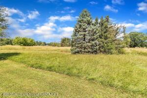 1459 Haslett Rd, Williamston, MI 48895 photo 40