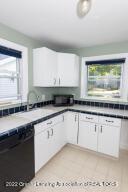 544 E Howe Ave, Lansing, MI 48906 photo 10