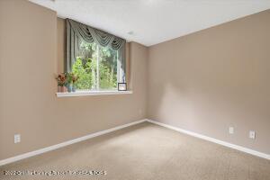 15398 Classic Dr, Bath, MI 48808 photo 21