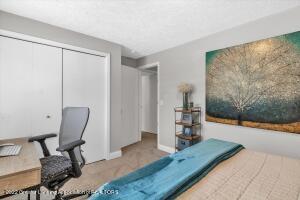 3840 Danbridge Dr, Lansing, MI 48906 photo 44