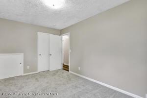13089 Turner Rd, Dewitt, MI 48820 photo 16