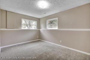 13089 Turner Rd, Dewitt, MI 48820 photo 15