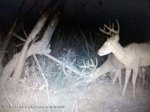 1670 E Alward Rd, Dewitt, MI 48820 photo 18