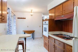 204 E Syringa Dr, Lansing, MI 48910 photo 11