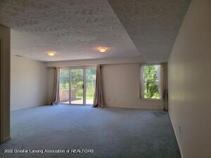 465 Red Cedar Blvd, Williamston, MI 48895 photo 24