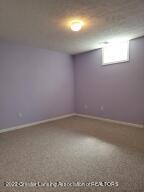 465 Red Cedar Blvd, Williamston, MI 48895 photo 25