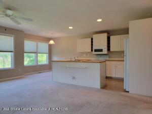465 Red Cedar Blvd, Williamston, MI 48895 photo 14