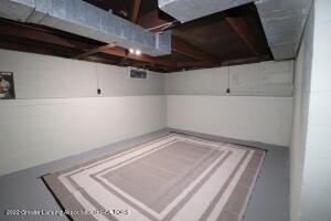 504 Cherry St, Dewitt, MI 48820 photo 28