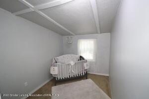 504 Cherry St, Dewitt, MI 48820 photo 20