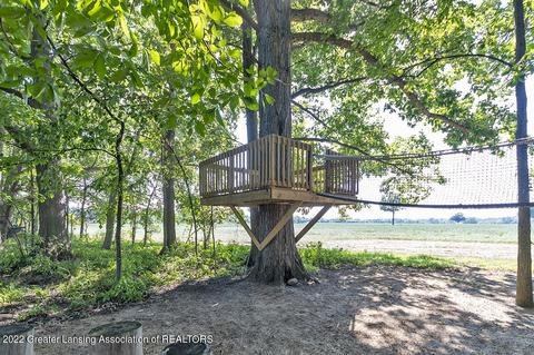 1885 Copas Rd, Owosso, MI 48867 photo 59