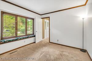 3890 Sheldrake Ave, Okemos, MI 48864 photo 18