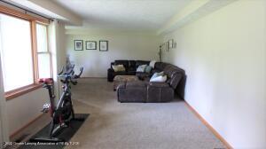 9424 Pineview Dr, Olivet, MI 49076 photo 17