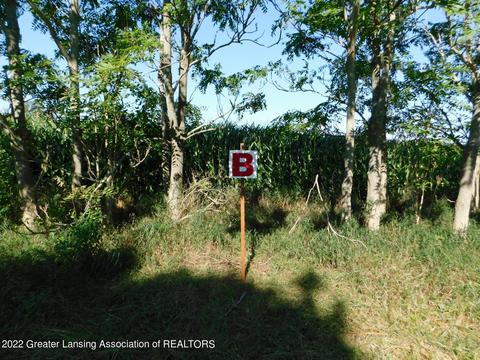 B Ives Road, Mason, MI 48854
