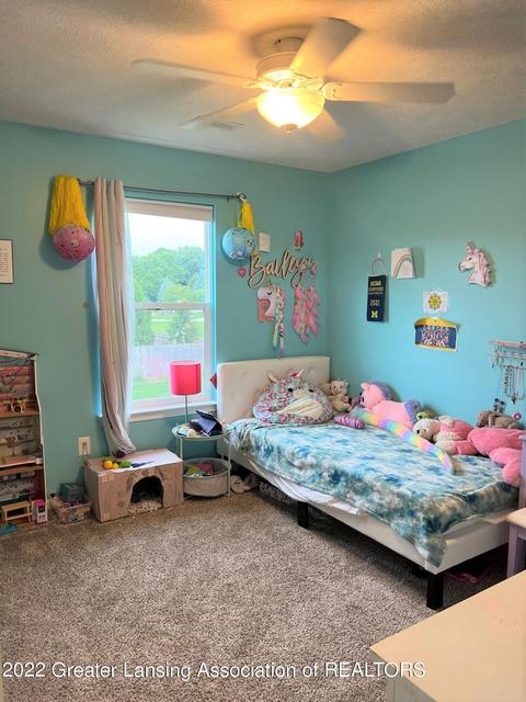 315 E Saphire St, Morrice, MI 48857 photo 15