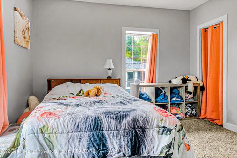 224 W Main St, Maple Rapids, MI 48853 photo 42