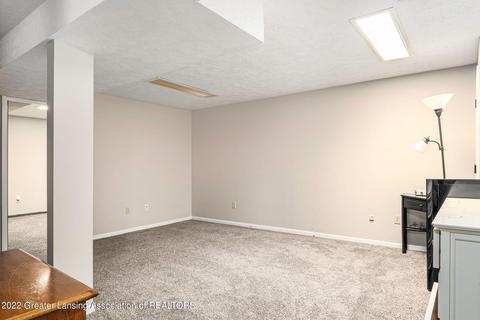 13035 Apple Tree Ln, Dewitt, MI 48820 photo 20