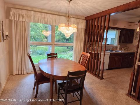 4195 Driftwood Dr, Dewitt, MI 48820 photo 13
