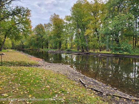4195 Driftwood Dr, Dewitt, MI 48820 photo 23
