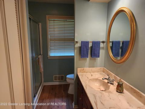 4195 Driftwood Dr, Dewitt, MI 48820 photo 15