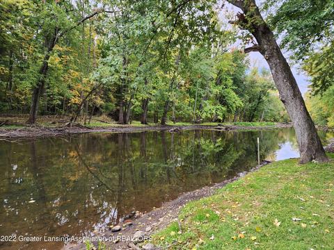 4195 Driftwood Dr, Dewitt, MI 48820 photo 24