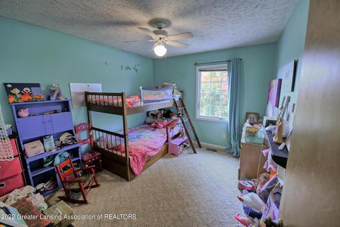 11205 S Bauer Rd, Eagle, MI 48822 photo 22