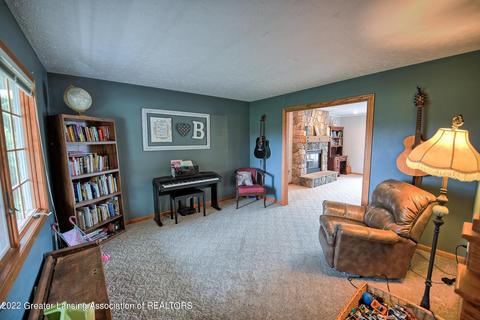 11205 S Bauer Rd, Eagle, MI 48822 photo 6