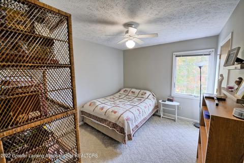 11205 S Bauer Rd, Eagle, MI 48822 photo 21