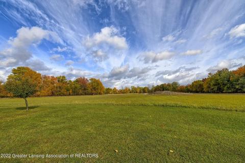11205 S Bauer Rd, Eagle, MI 48822 photo 48