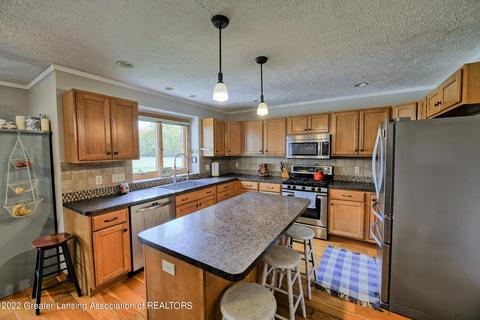 11205 S Bauer Rd, Eagle, MI 48822 photo 4