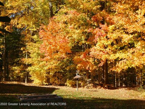 880 Stillman Rd, Mason, MI 48854 photo 11