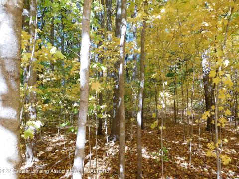 880 Stillman Rd, Mason, MI 48854 photo 58