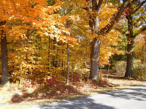 880 Stillman Rd, Mason, MI 48854 photo 56