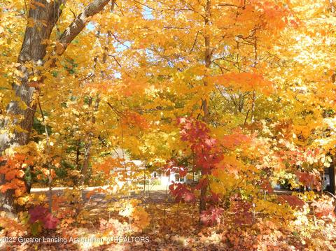 880 Stillman Rd, Mason, MI 48854 photo 57