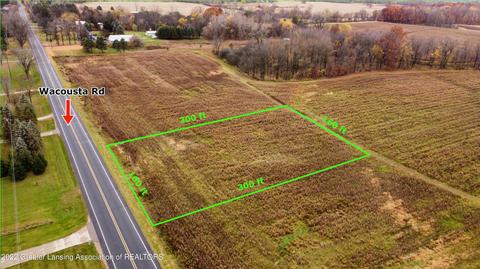 12280 S Wacousta Rd, Eagle, MI 48822 photo 4