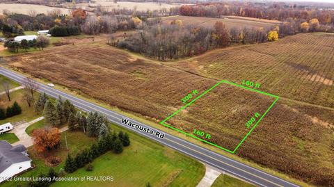 12280 S Wacousta Rd, Eagle, MI 48822 photo 3