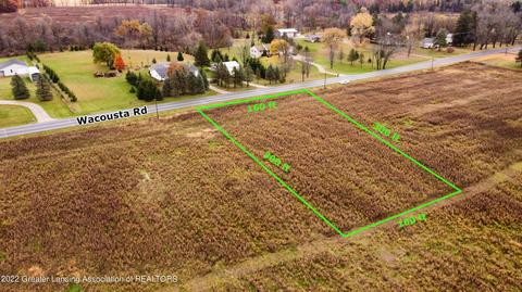 12280 S Wacousta Rd, Eagle, MI 48822 photo 5