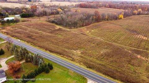 12280 S Wacousta Rd, Eagle, MI 48822 photo 7