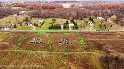 12280 S Wacousta Rd, Eagle, MI 48822 photo 1